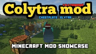 Minecraft 1165  Colytra mod [upl. by Doralynn340]