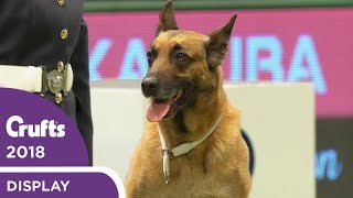 RAF Display Team Perform at Crufts 2018 [upl. by Dennie]