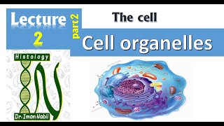 2b Cell organelles part 2Endoplasmic reticulumCellHistology [upl. by Schilling]