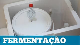 Como Fazer Cerveja em Casa Fermentação Parte 46 [upl. by Carry]