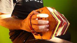 How to play Drunken Sailor on Concertina [upl. by Baruch414]