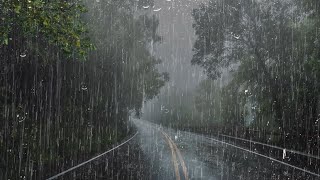 Lluvia Relajante Para Dormir en 2 Minutos  Sonido de Lluvia y Truenos en Bosque Neblinoso  ASMR [upl. by Newbill]