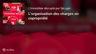 Lorganisation des charges en copropriété [upl. by Eilhsa]