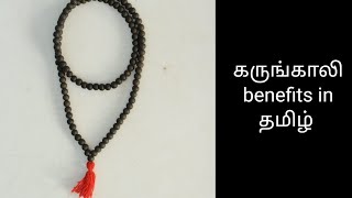 karungali benefits in தமிழ்  கருங்காலி பயன்கள் தமிழ் [upl. by Agustin179]