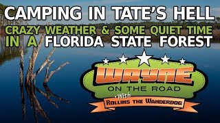 Crazy Storms Ferries and Tates Hell State Forest Florida [upl. by Acirdna]