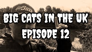 BIG CATS IN THE UK EP12 LOCAL SIGHTING AND NEW BIG CAT PHOTOS [upl. by Erdnuaed]