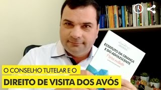 O Conselho Tutelar e o direito de VISITA DOS AVÃ“S [upl. by Ecinuahs569]