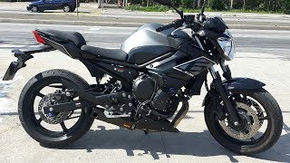 Rodolfinho da Z Testando Yamaha Xj6 N 2017 [upl. by Tegirb251]