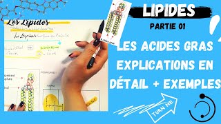 📣1 Les Lipides Partie1 Les Acides Gras explication en détail  des exemplesاقوى مراجعة لللبيدات [upl. by Yehc]