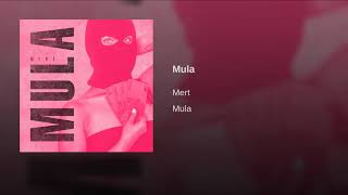 Mert  Mula  official Audio [upl. by Ertha]