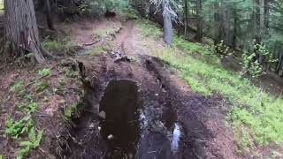 Dirt bike riding Revelstoke BC Canada [upl. by Relly]