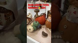 Bealls outlet in Florida Halloween 🎃 stuff [upl. by Eelegna]