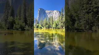 Yosemite National Park [upl. by Mont]