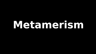 Metamerism [upl. by Derr]