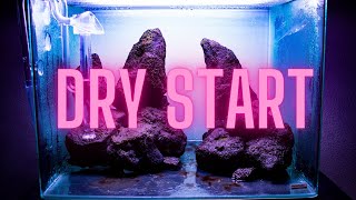 Dry Start Method  HOW TO Grow aquarium moss on your HARDSCAPE [upl. by Emilie320]