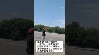 ■凧揚げ■shorts 凧揚げkite [upl. by Canty]