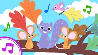 Why Do Leaves Change Color  Original Kids Song from Treetop Family [upl. by Madelaine]