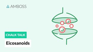 Eicosanoids Formation Function and Subclasses [upl. by Verla540]