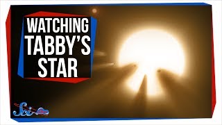 Why Everyone Was Watching Tabbys Star Last Weekend [upl. by Atina]