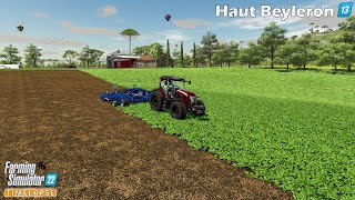 Discing Oilseed Radish Field Sowing Grass amp Oat Rolling🔸Farming Simulator 22🔸HautBeyleron 13🔸4K [upl. by Riggs]