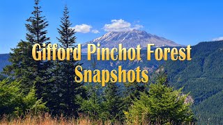 Gifford Pinchot Forest Snapshots [upl. by Anson]