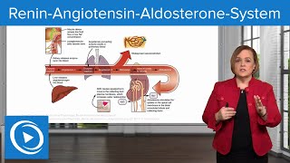 ReninAngiotensinAldosteroneSystem RAAS – Pharmacology  Lecturio [upl. by Perseus]