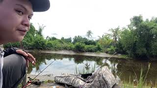 Mancing ikan kelabau khas banjarmasin mancingliarkalimantan fishingtrip [upl. by Rech]