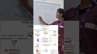 Ace Inhibitors AntiHyperrtensive Classification perfusion pharmacology alliedhealth kidneys [upl. by Eiramanitsirhc]