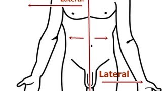 Intro to Lateral amp Related Terms Getting Used to Anatomic Direction Terms [upl. by Etnohc]