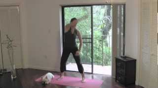 Dance Stretch  Full 40 Minute Dynamic Stretching Fusion Home Workout [upl. by Asilana]