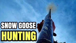 Snow Goose Hunting Illinois 2017 [upl. by Ellak]