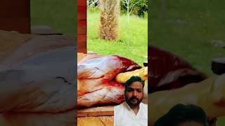 BarrelRoasted Lamb FireKissed and FlavorPackedquot yt ytshorts shortvideo foodie bbq cooking [upl. by Boorer]