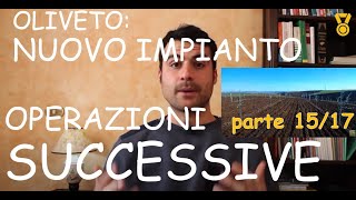 Come Fare un Nuovo Oliveto Operazioni Successive  Parte 1517  Nuovo Impianto Uliveto [upl. by Valida]