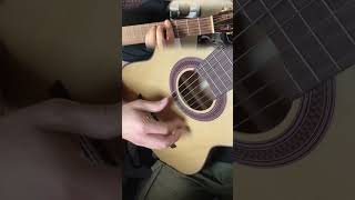 Trista Pena gipsy kings flamenco gipsykings tristapena guitar learn cool lyrics [upl. by Ingvar620]