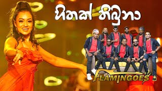 Hithak Thibuna හිතක් තිබුනා  Live Performance With Ahungalla Flamingoes [upl. by Sully]