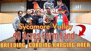 40 Acres Land of Sycamore Valley Farm Breeding Ranging Cording AreaPart 4 [upl. by Yleoj]