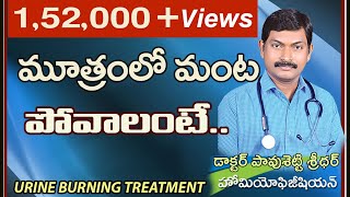 మూత్రంలో మంట తగ్గాలంటే  Urine Burning treatment in Telugu  Urine Burning Precautions [upl. by George334]