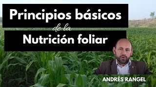 Principios Básicos de la nutrición Foliar [upl. by Beaver613]