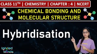 Class 11th Chemistry  Hybridisation  Chapter 4 Chemical Bonding amp Molecular Structure  NCERT [upl. by Nwahsiek]