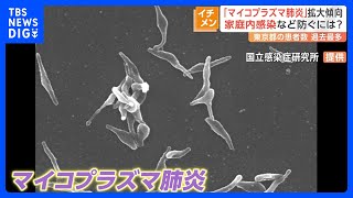 主な症状は発熱や長引く咳…マイコプラズマ肺炎が流行 1医療機関あたり280人と統計開始以降最多に｜TBS NEWS DIG [upl. by Er603]