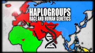 What are Haplogroups Human Genetics Explained [upl. by Yllac]