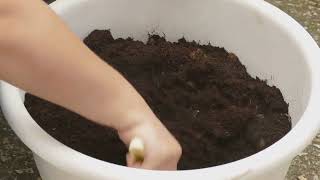 How to use Bone Meal fertilizer [upl. by Harley]