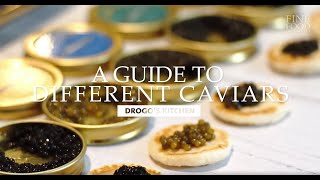 A Guide to Different Types of Premium Caviars  Drogos Kitchen  Fine Food Specialist [upl. by Theone821]