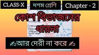 CLASS  10💥 Chapter2📚 concept about✍️cell division 🌻💐in bangla 💯 [upl. by Lleynod]