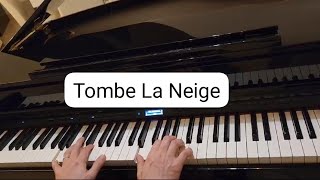 Salvatore AdamoTombe la neigePiano cover [upl. by Pier793]