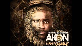 Akon  Used To Know Remix feat Gotye amp Money J amp Frost Konkrete Jungle [upl. by Pompei]