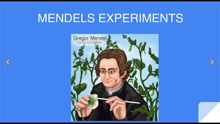 Heredity 2 Basics of Mendel’s Experiments viralvideo class10science heredityandevolutionclass10 [upl. by Nnairam]