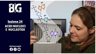 ACIDI NUCLEICI e NUCLEOTIDI [upl. by Asssilem]