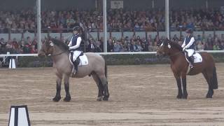 Warendorfer Hengstparade 2017  Kaltblüter amp Azubinen [upl. by Arretnahs]