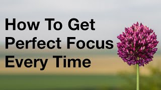 How To Get Perfect Focus On Your Camera Every Time [upl. by Ardnuhs131]